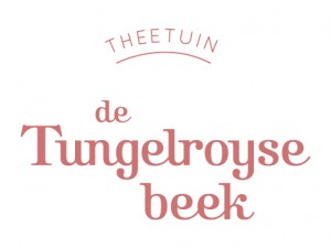 Tungelroy - klein roze